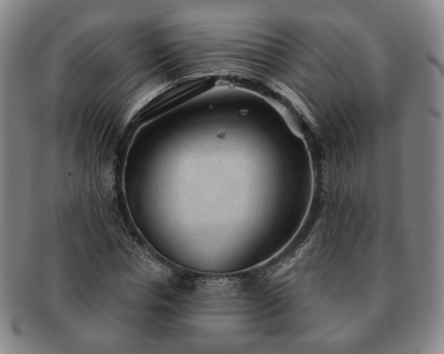 X0000091570826200708271156