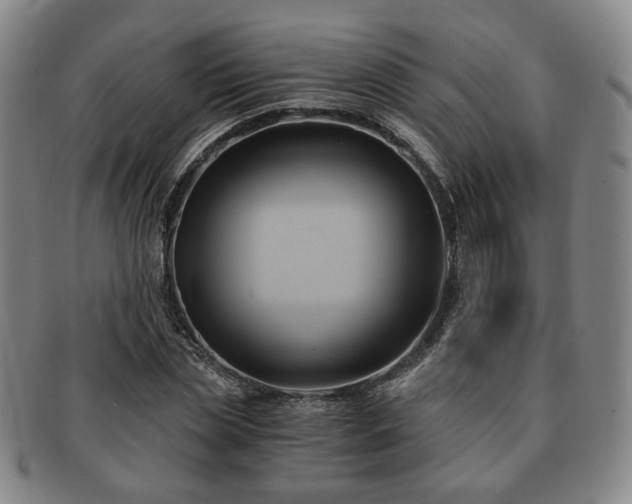 X0000091570829200708271156