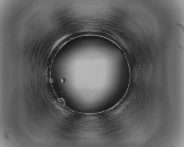 X0000091570830200708271156