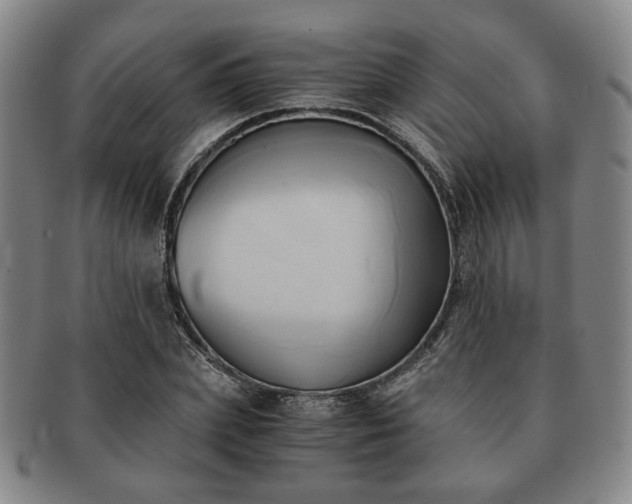 X0000091570831200708271156