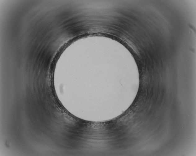 X0000091570832200708271156