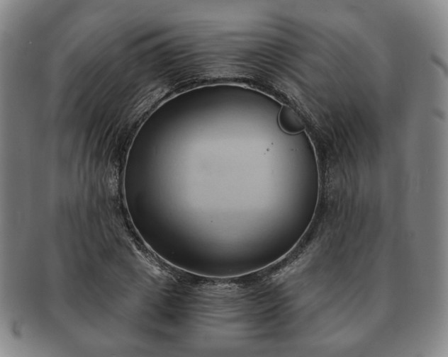 X0000091570833200708271156