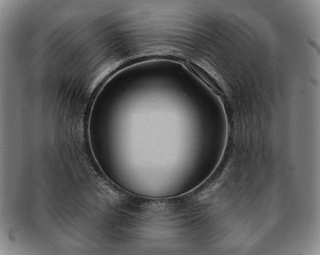 X0000091570834200708271156