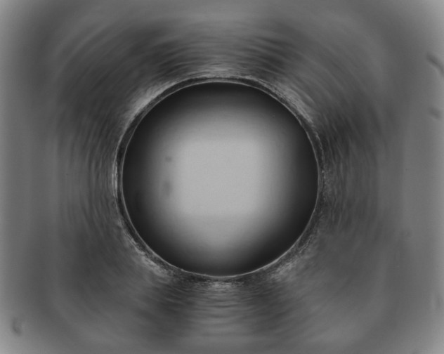 X0000091570839200708271156