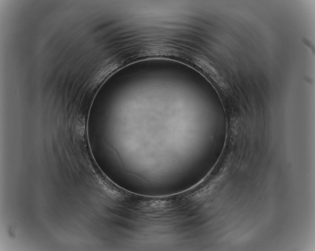X0000091570841200708271156