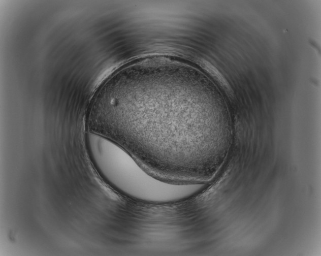 X0000091570842200708271156