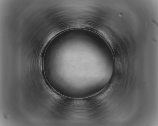 X0000091570843200708271156