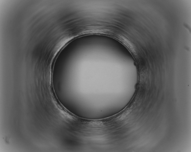 X0000091570844200708271156