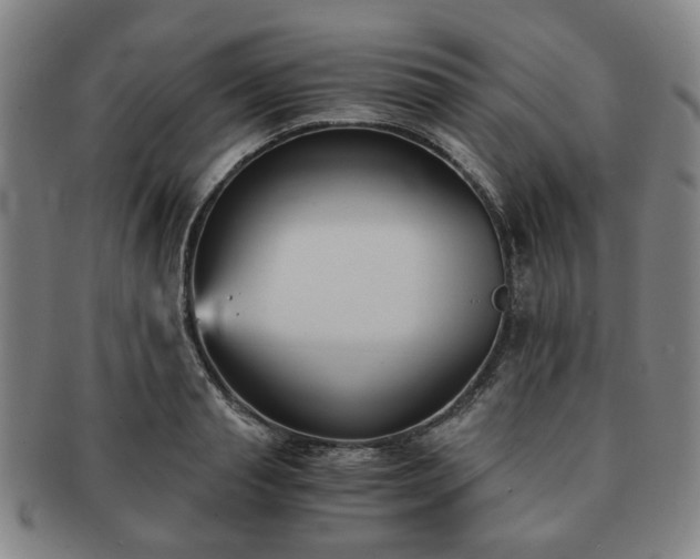 X0000091570845200708271156