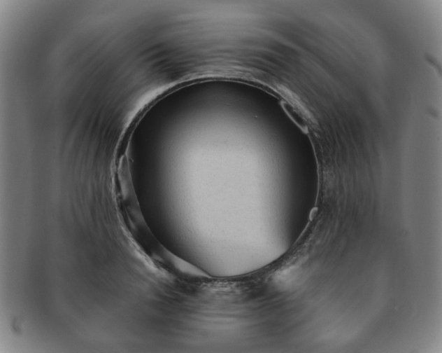 X0000091570846200708271156