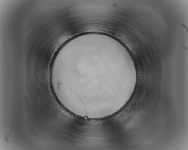 X0000091570848200708271156