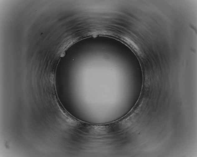 X0000091570849200708271156