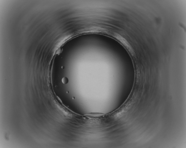 X0000091570850200708271156