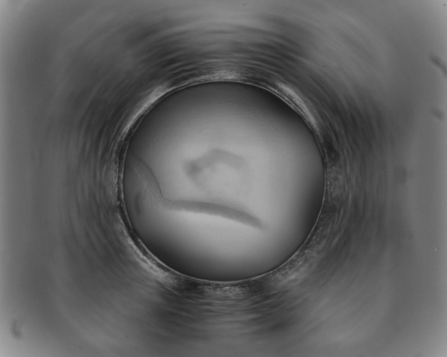 X0000091570851200708271156