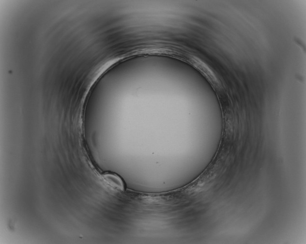 X0000091570852200708271156