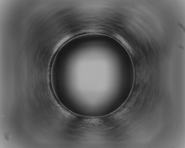 X0000091570853200708271156