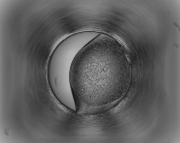 X0000091570854200708271156