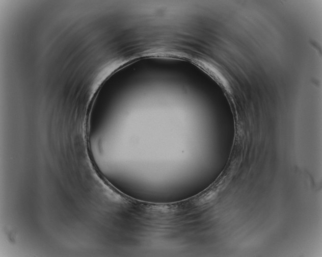 X0000091570855200708271156