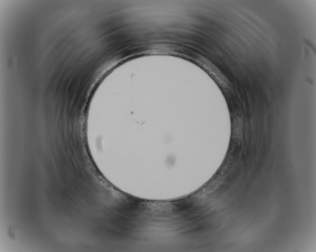 X0000091570856200708271156