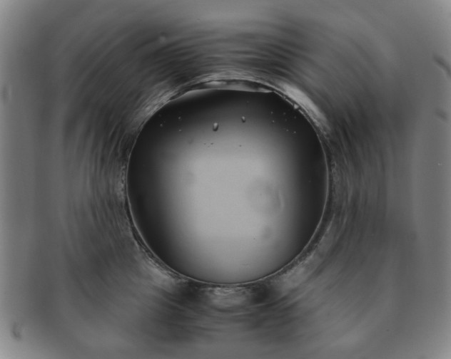 X0000091570857200708271156