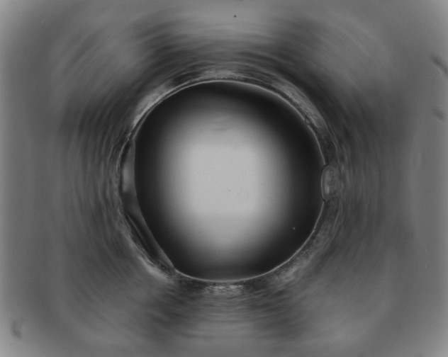 X0000091570858200708271156