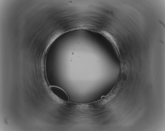 X0000091570859200708271156