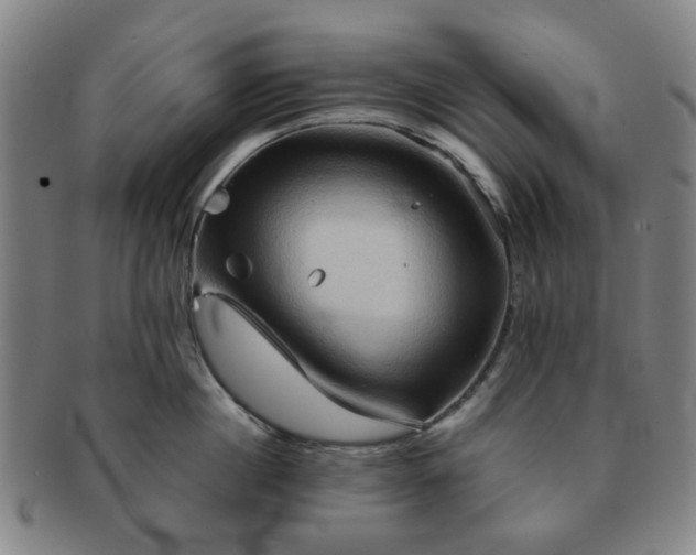 X0000091570860200708271156