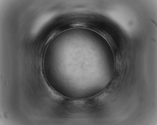 X0000091570861200708271156