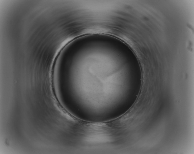 X0000091570864200708271156