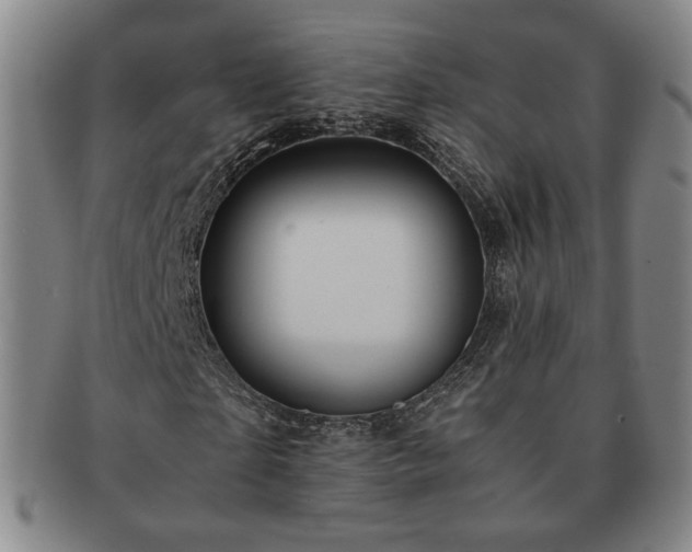 X0000091570865200708271156