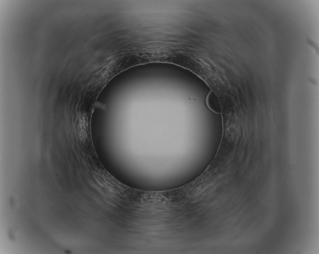 X0000091570866200708271156
