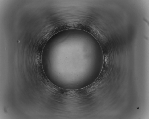 X0000091570867200708271156