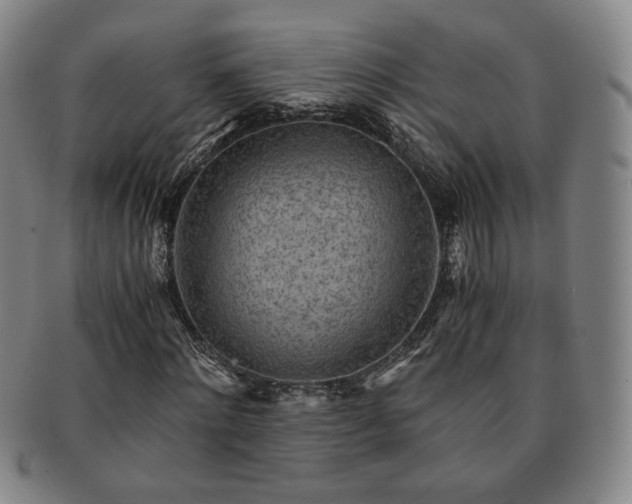X0000091570868200708271156