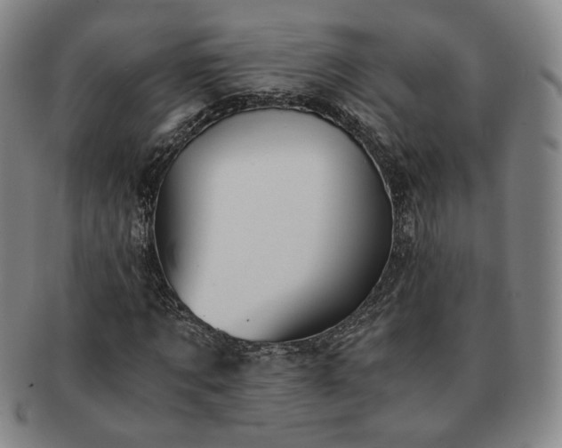 X0000091570869200708271156