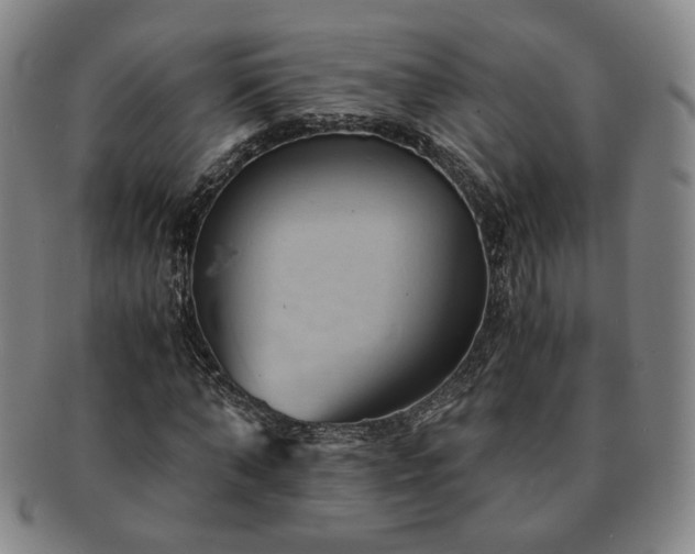 X0000091570870200708271156