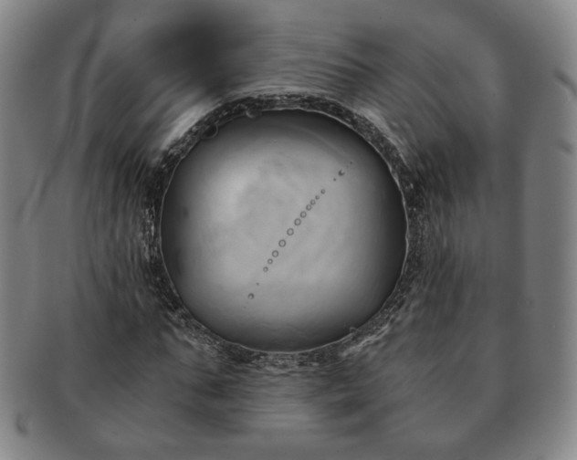 X0000091570871200708271156