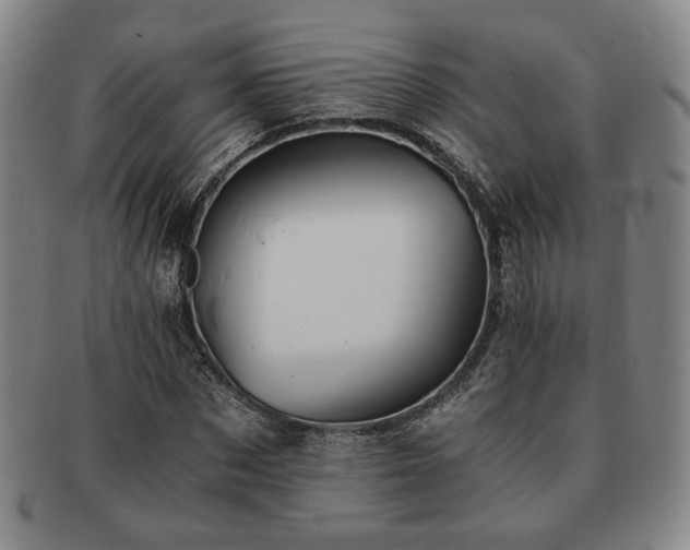 X0000091570873200708271156