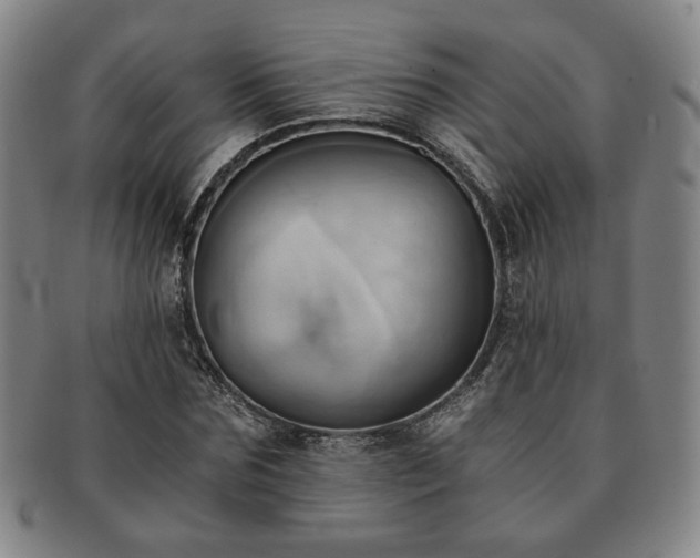 X0000091570875200708271156
