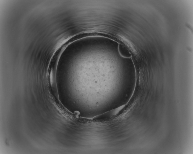 X0000091570876200708271156