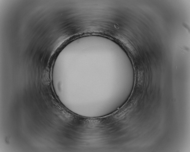 X0000091570878200708271156