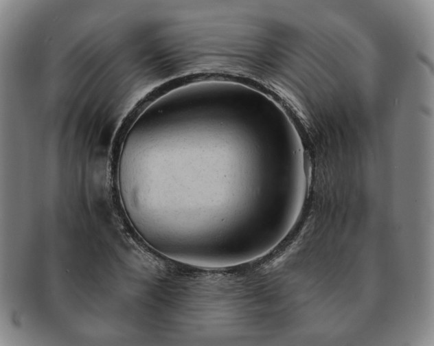 X0000091570880200708271155