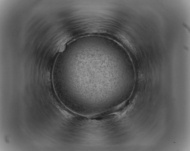 X0000091570881200708271155