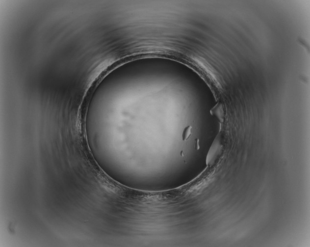 X0000091570883200708271155