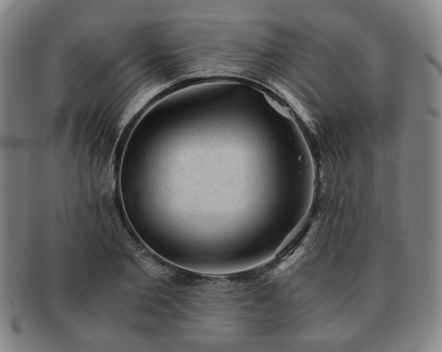 X0000091570885200708271155