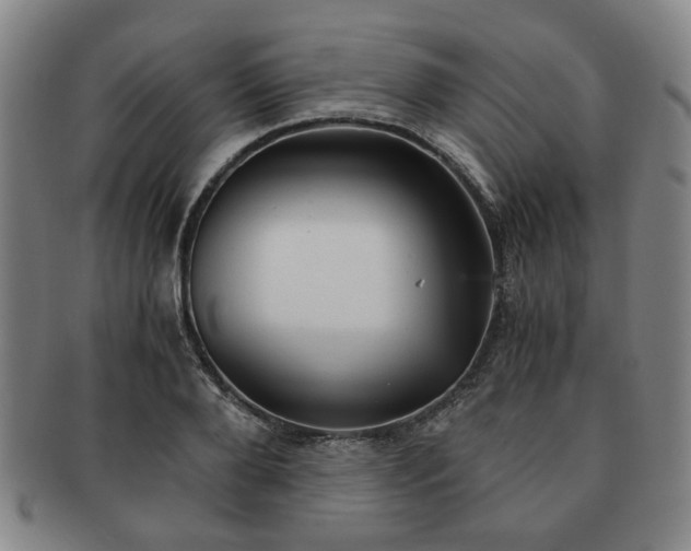 X0000091570888200708271155