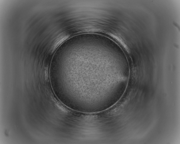 X0000091570889200708271155