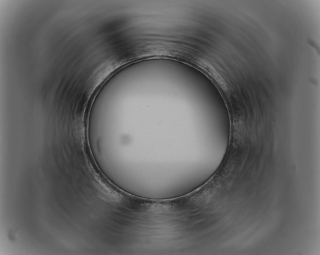 X0000091570890200708271155