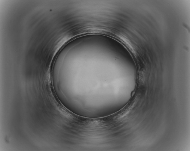 X0000091570891200708271155