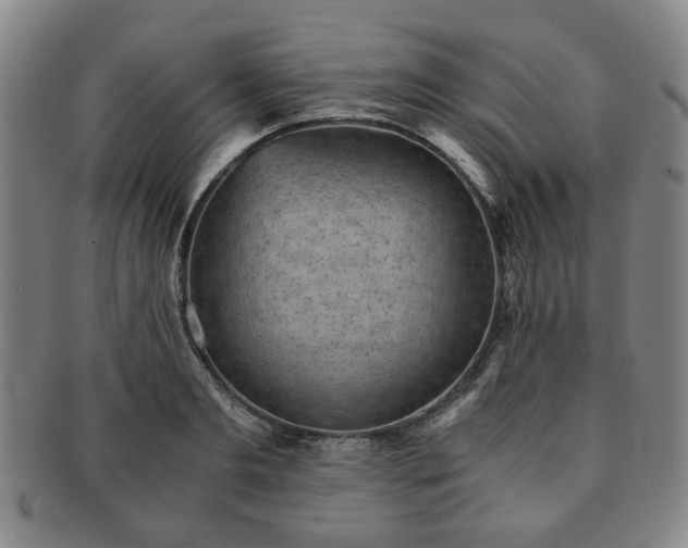 X0000091570893200708271155