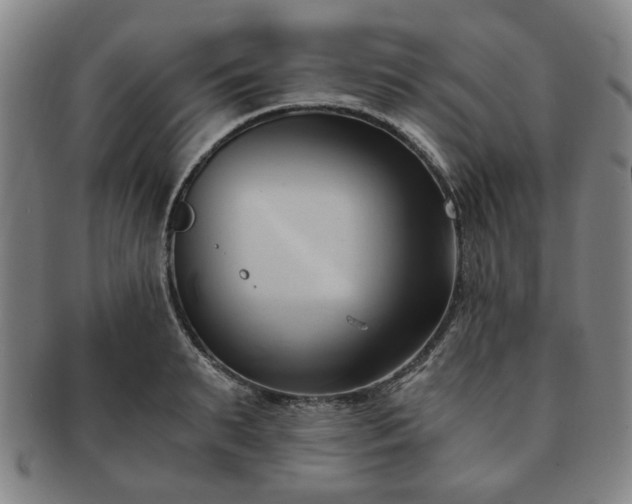 X0000091570895200708271155